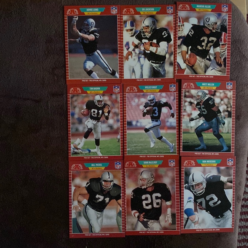 🍄🍄RAIDERS 1989